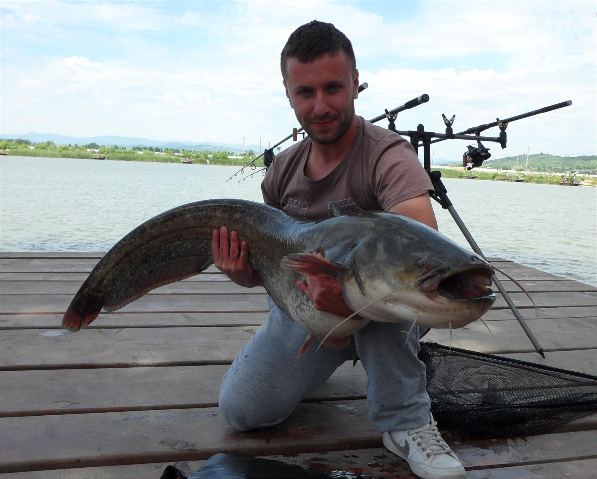 Pleasa 2013 - 14.50kg